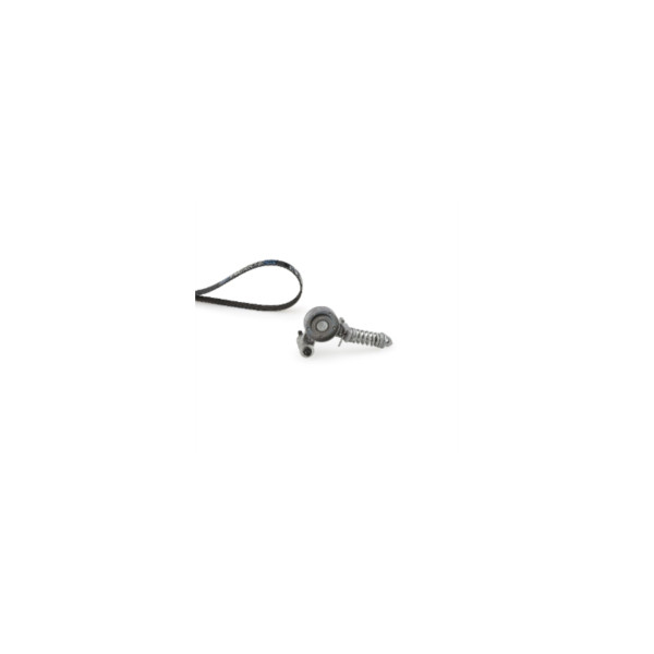 Drive Belt Kit image