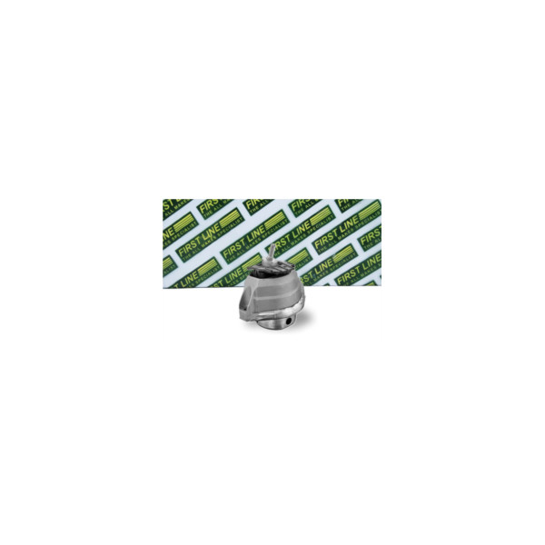 Engine/Transmission Bush/Mount image