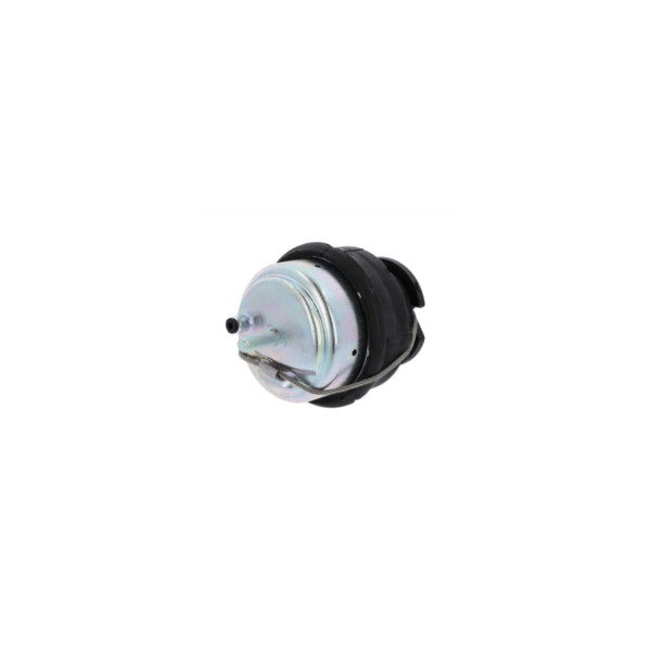 Engine/Transmission Bush/Mount image