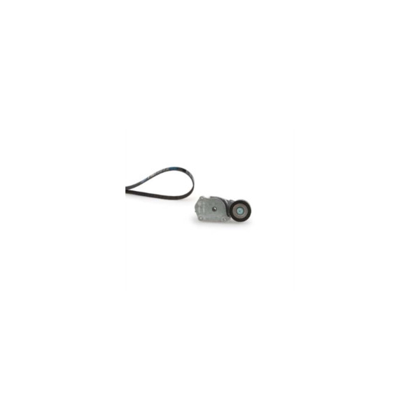 Drive Belt Kit image