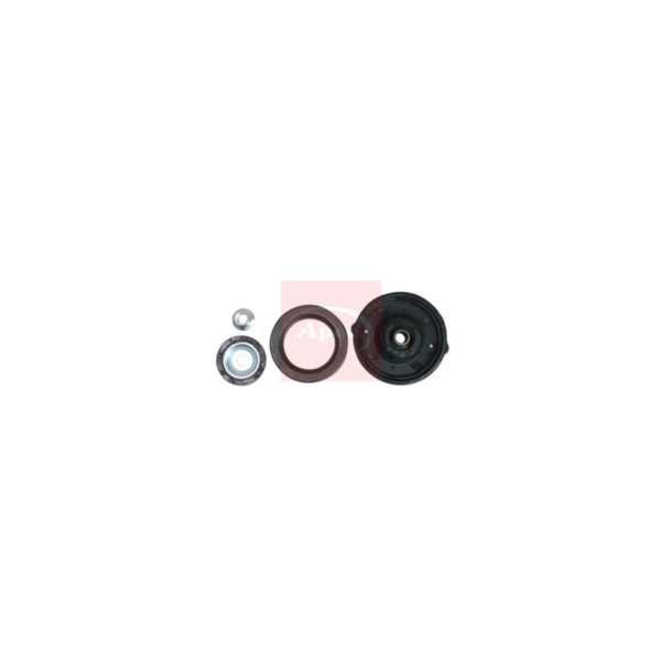 Strut Mount Kit image