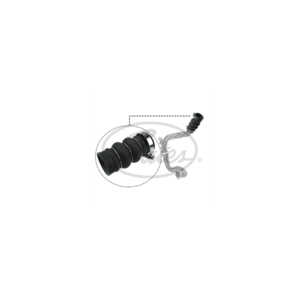 Turbocharger Hose image