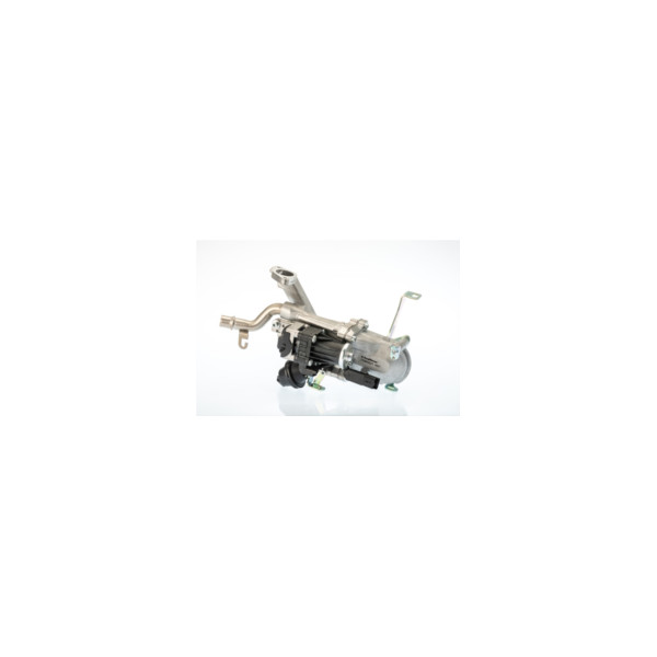 EGR Module image