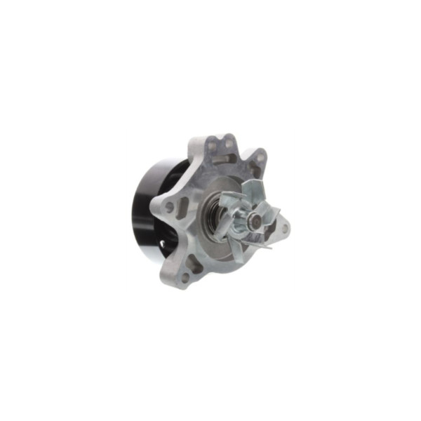 Water Pump image