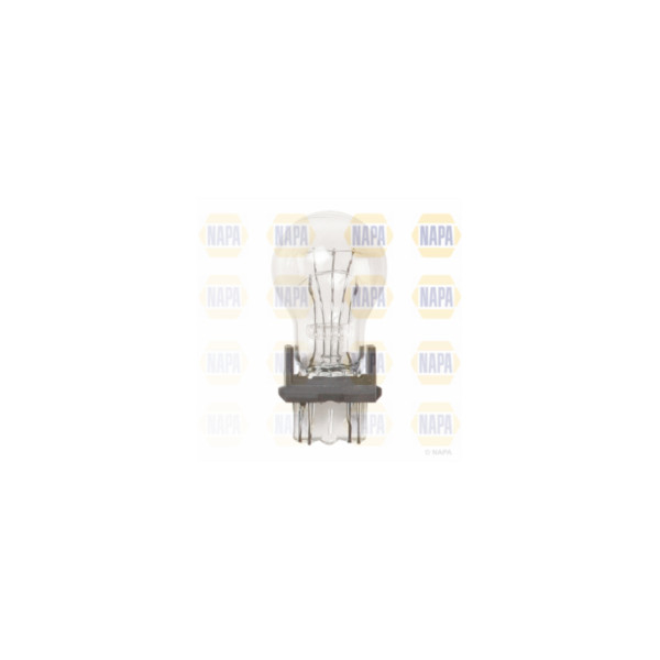 Reverse Light image