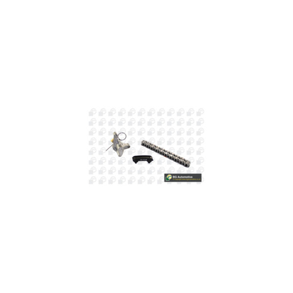 Timing Chain Kit image