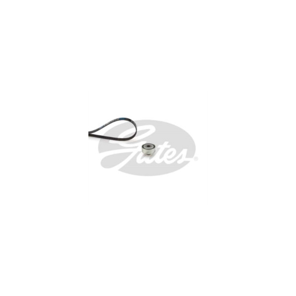 Drive Belt Kit image