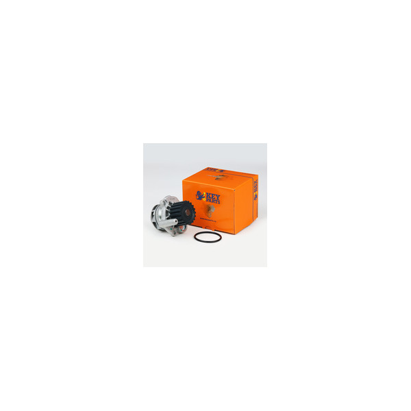 Water Pump image