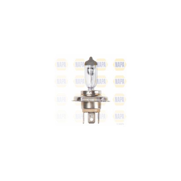 Head Light image