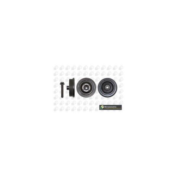 Torsion Vibration Damper image