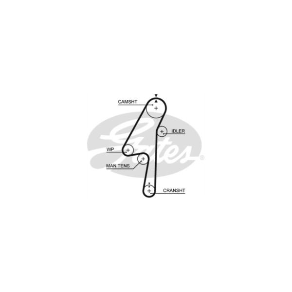 Timing Belt image
