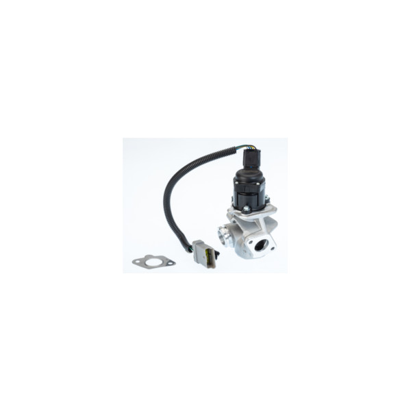 EGR Valve image