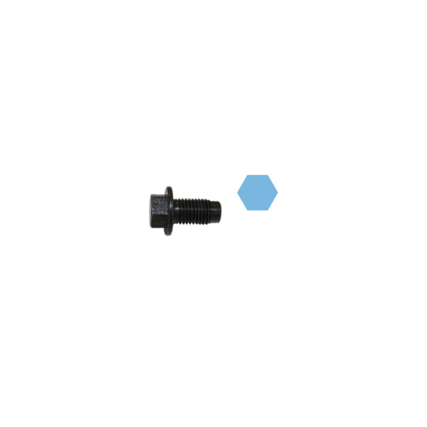 Sump Plug image