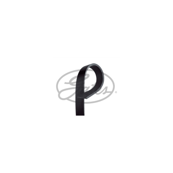Drive Belt image