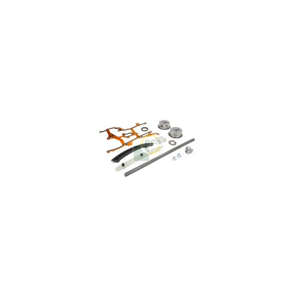 Timing Chain Kit image