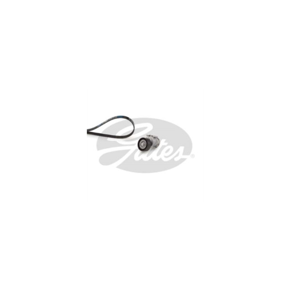 Drive Belt Kit image