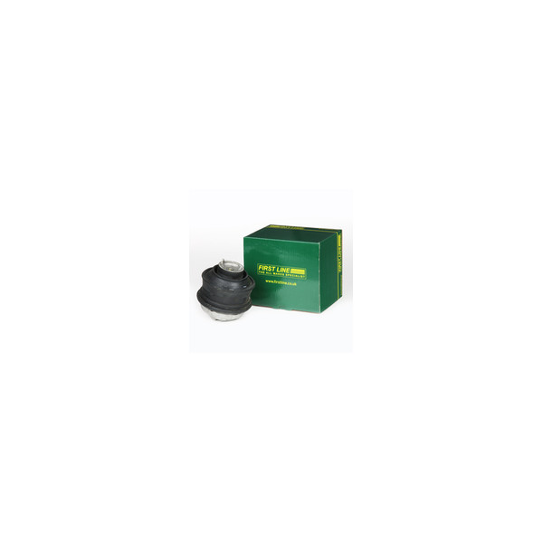 Engine/Transmission Bush/Mount image