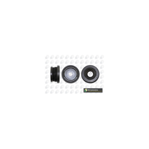 Torsion Vibration Damper image