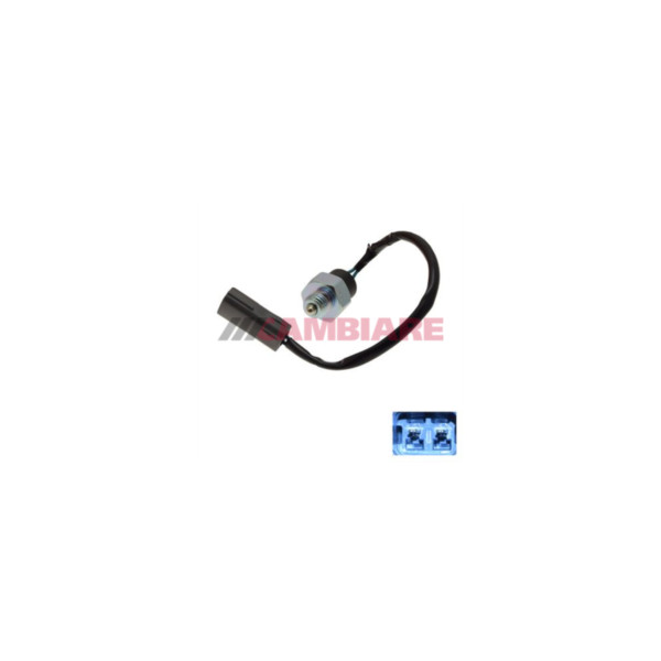 Reverse Light Switch image