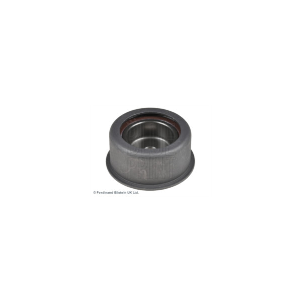 Tensioner Pulley image