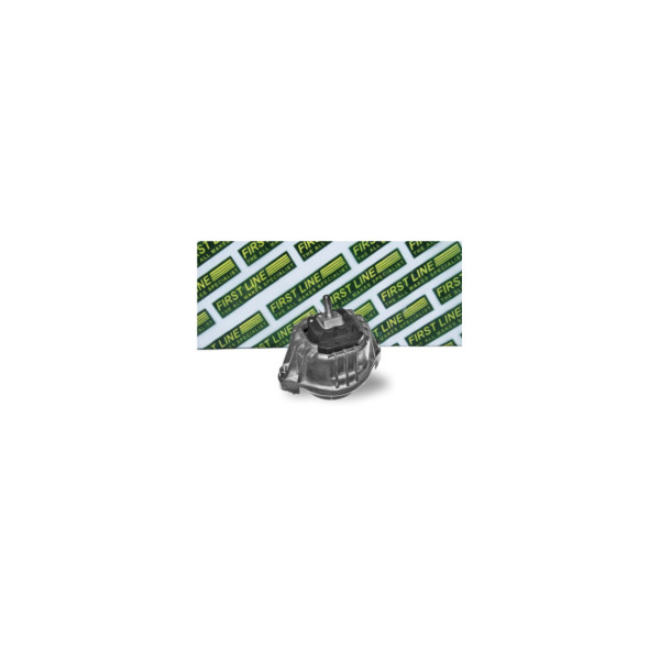 Engine/Transmission Bush/Mount image