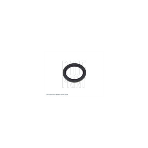 Sump Plug image
