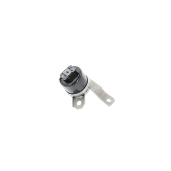 Engine/Transmission Bush/Mount image